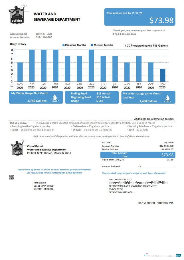 download USA Ohio City of Detroit water utility bill template in Word and PDF format PDF template